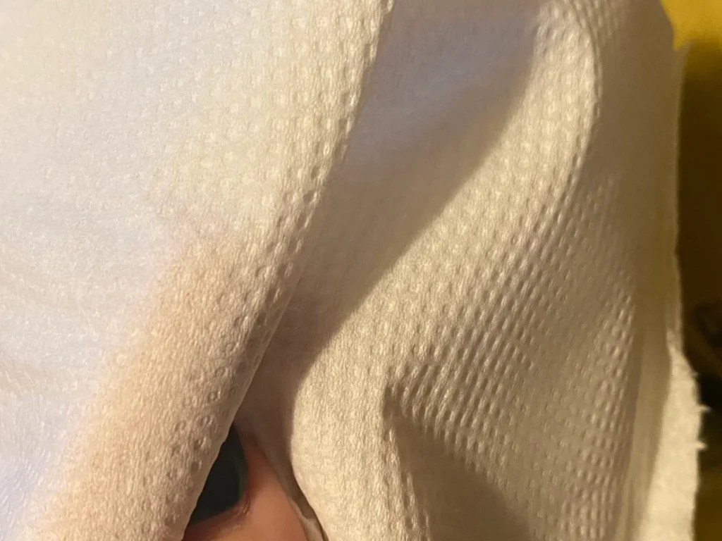 Bamboo Toilet Paper 2